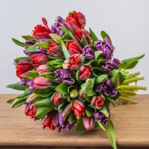 tulips from amsterdam