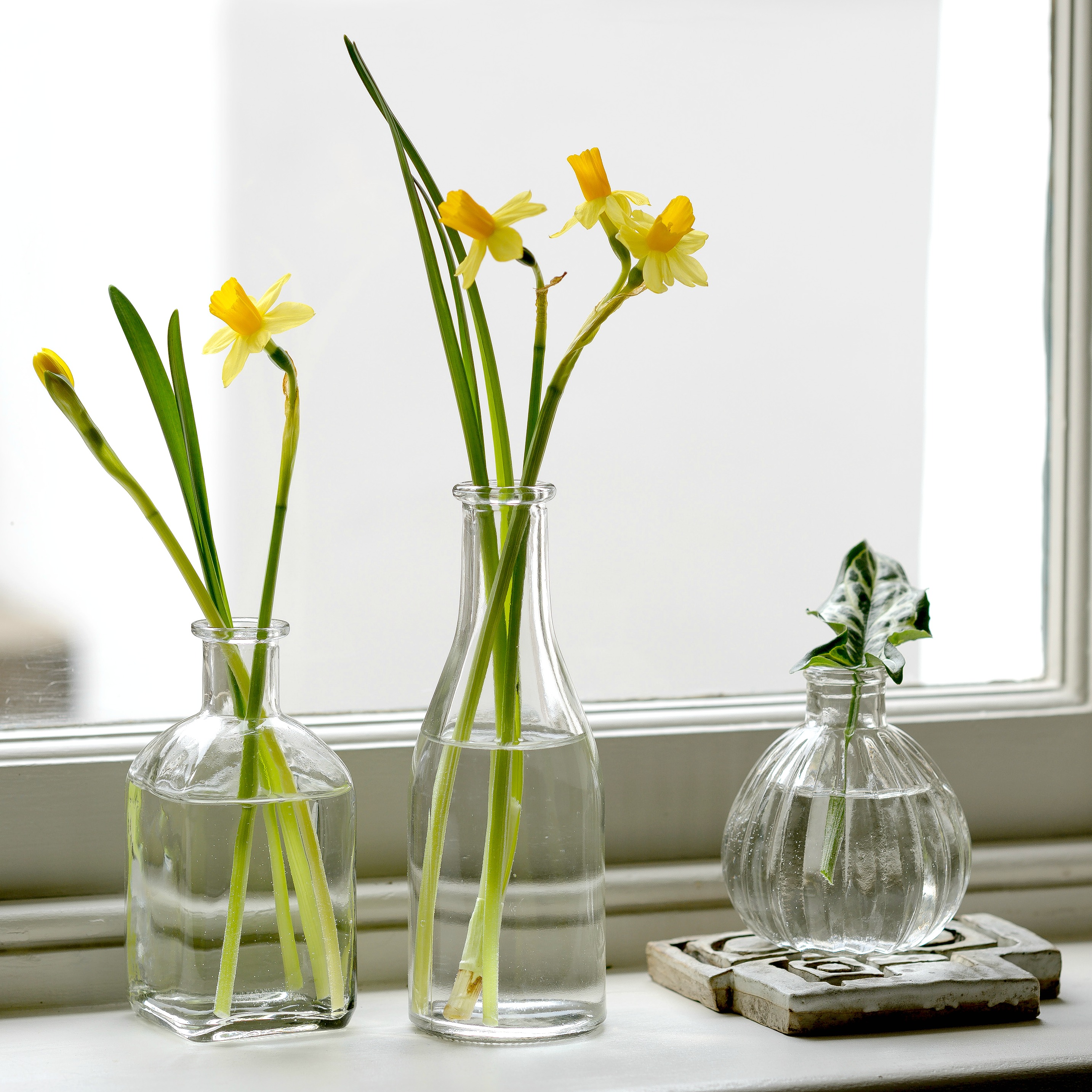 Bottles Retro Glass  Vase  Set Of 3 Flower  Studio Shop