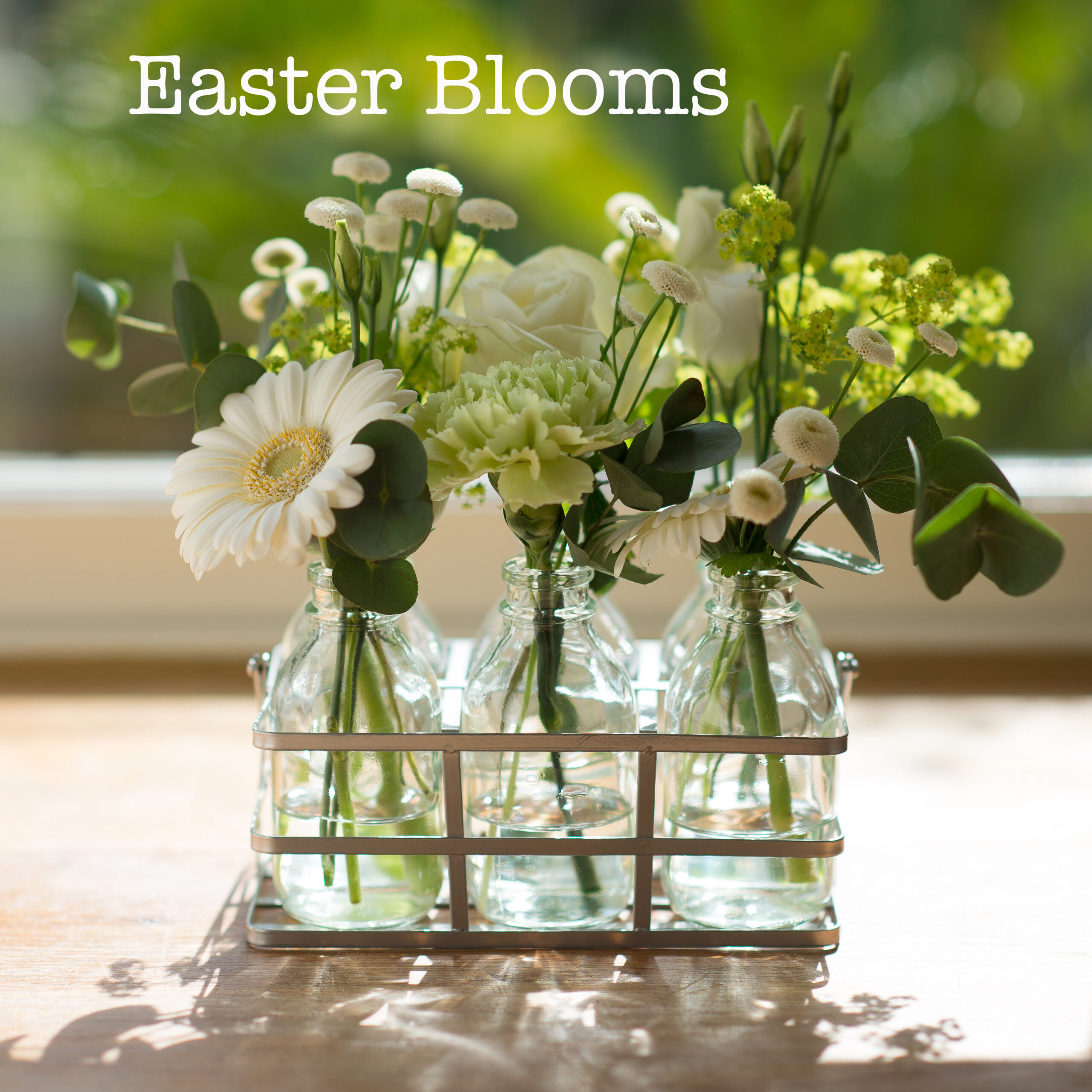Easter Blooms
