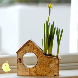 LITTLE-BIRCH-HOUSE-SPRING-BULB-PLANTER-with-birds-1-2
