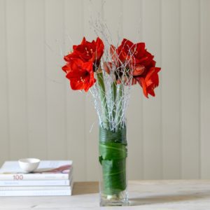 RED-AMARYLLIS-FLOWER-BUNCH-WITH-SILVER-TWIGS-1