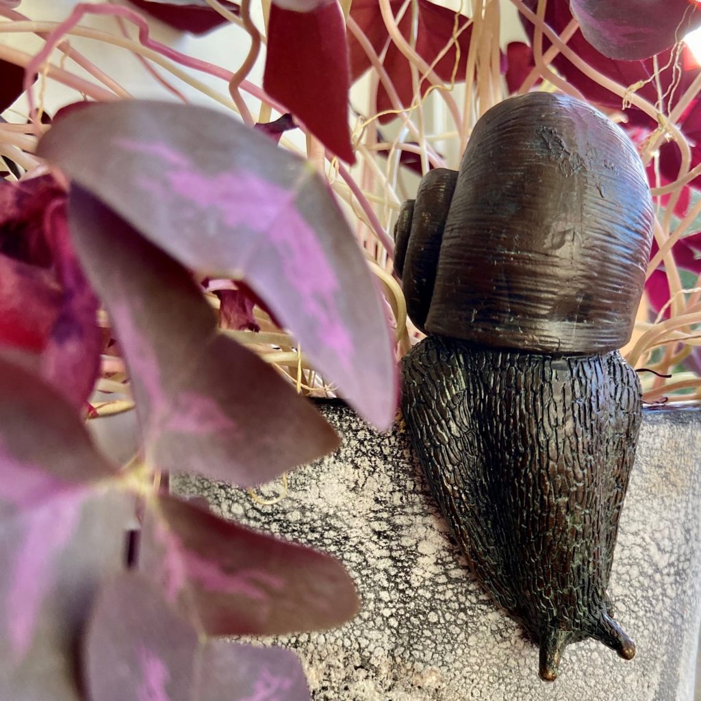 snail pot hanger